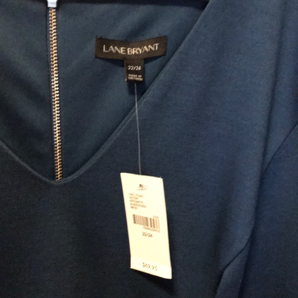 22/24 Lane Bryant Princess Seamed Dress New! - Picture 4 of 7